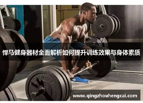悍马健身器材全面解析如何提升训练效果与身体素质