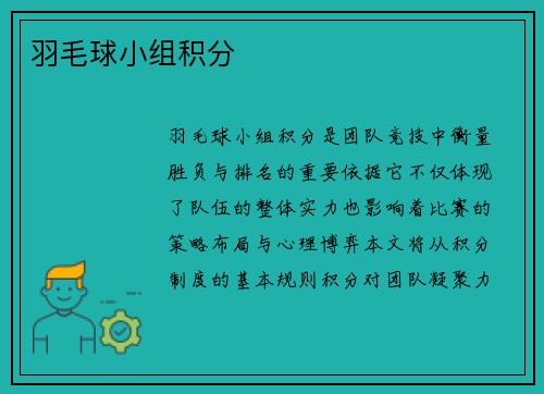 羽毛球小组积分