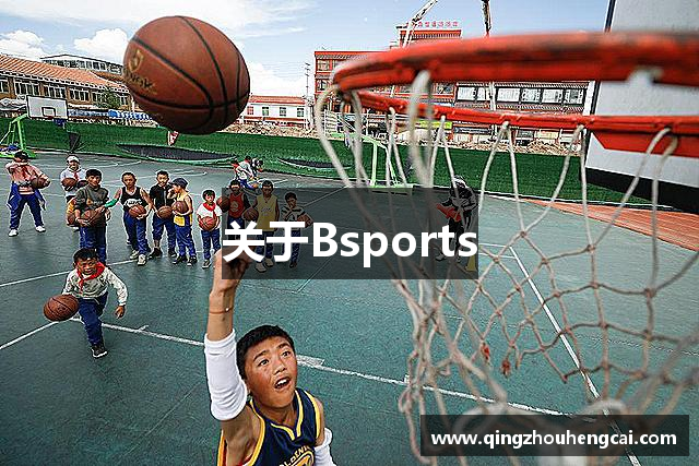 关于Bsports
